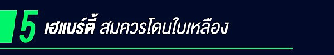 หน้ากาก "black panther" กับ ความผิดของ "เฮแบร์ตี้"