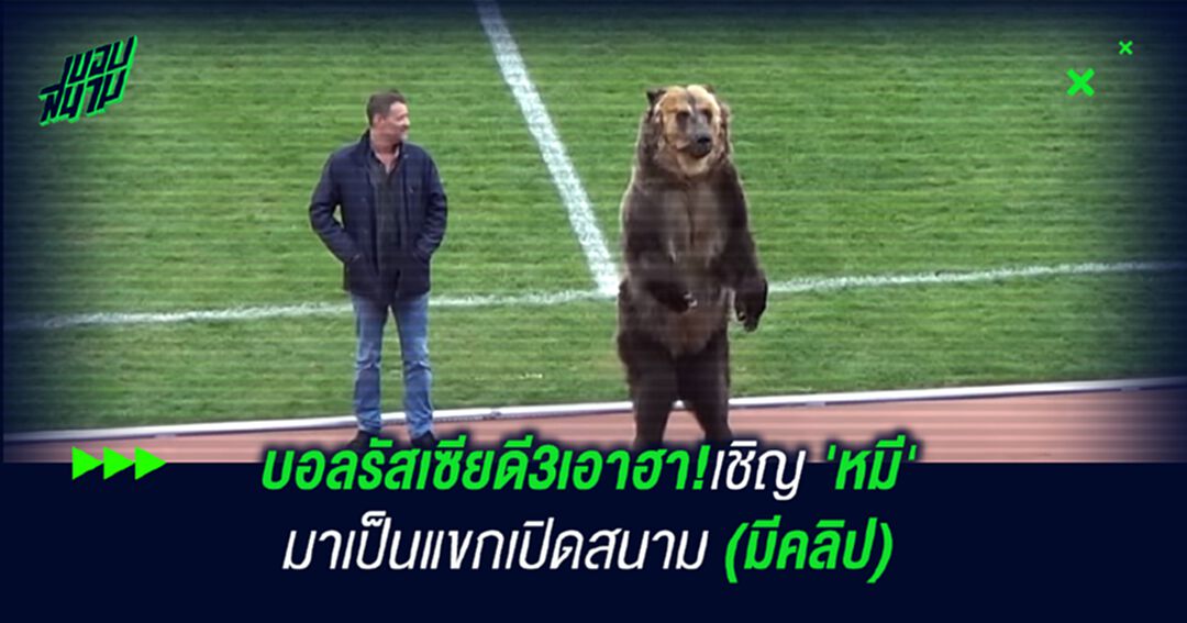 บอลรัสเซียดี3เอาฮา!เชิญ 'หมี' มาเป็นแขกเปิดสนาม (มีคลิป)