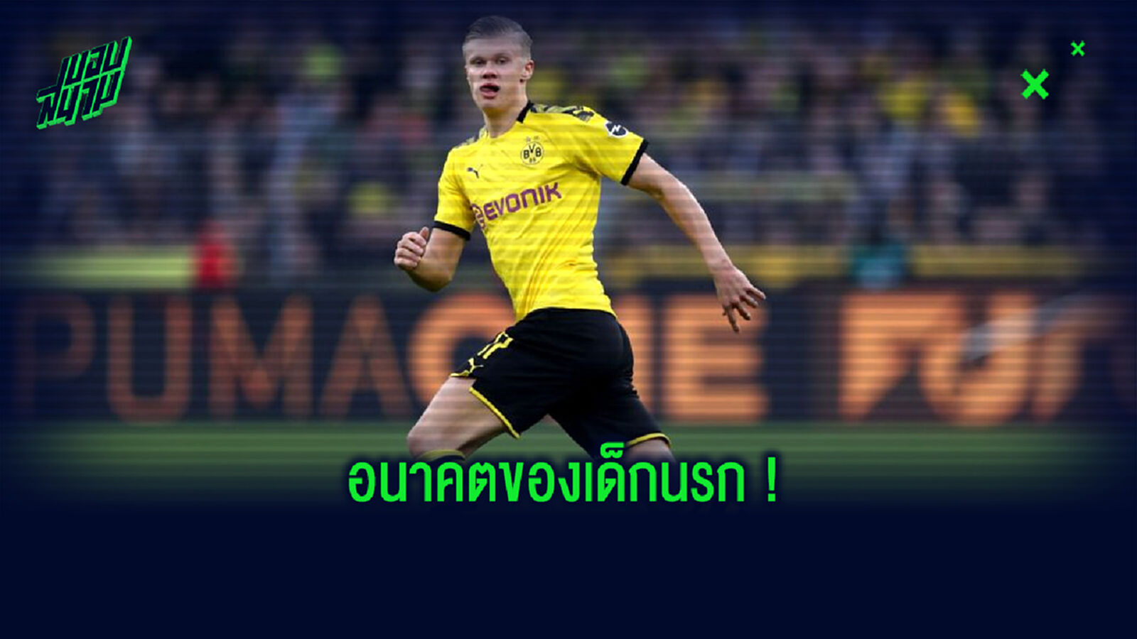 ผอ.ซัลซ์บวร์ก : เออร์ลิ่ง ฮาแลนด์ จะย้ายไป ลิเวอร์พูล
