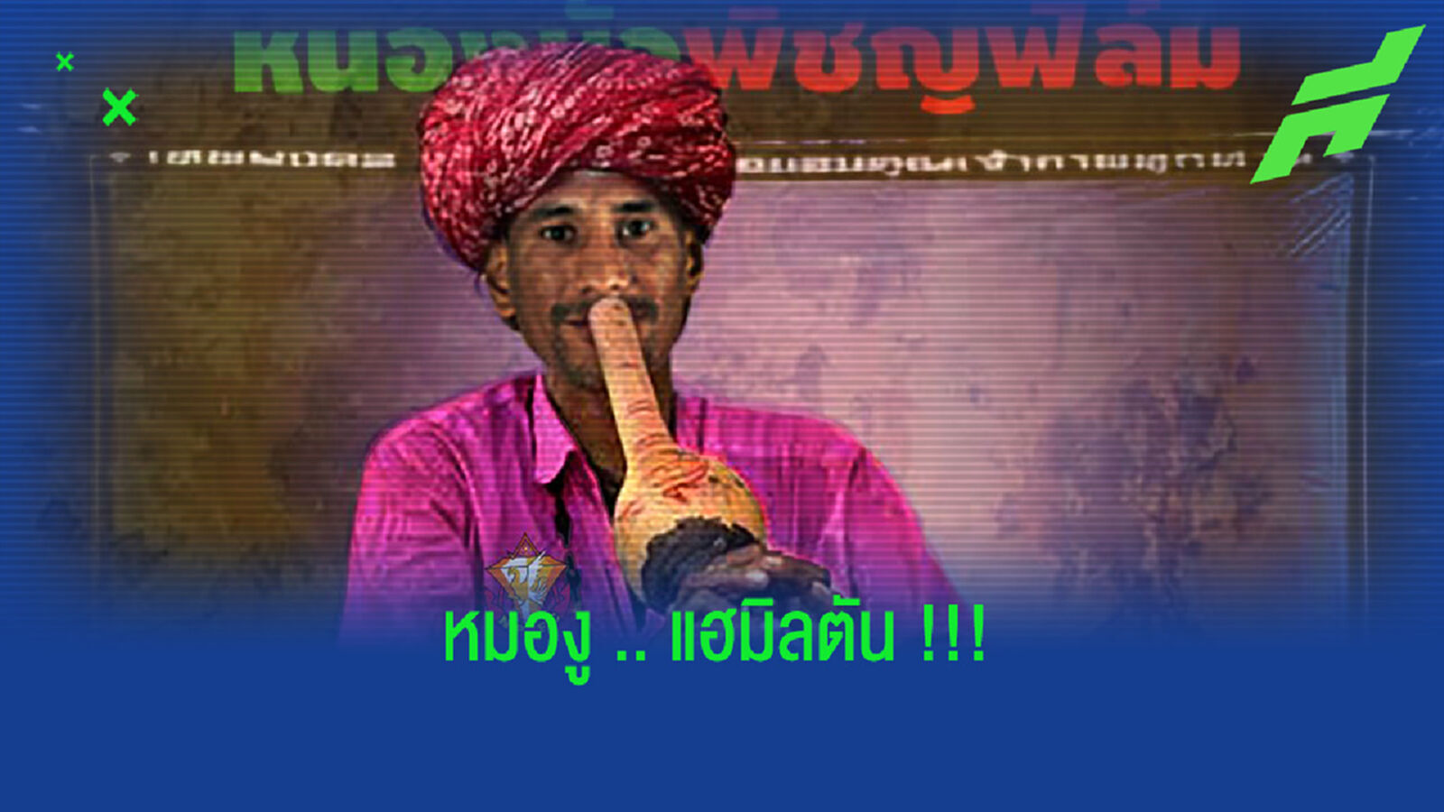 ม่วนกุ๊บ!! หนองบัวฯ ทำภาพ แฮมิลตัน หมองูเป่าล่อจงอาง ม่วนกุ๊บ!! หนองบัวฯ ทำภาพ แฮมิลตัน หมองูเป่าล่อจงอาง