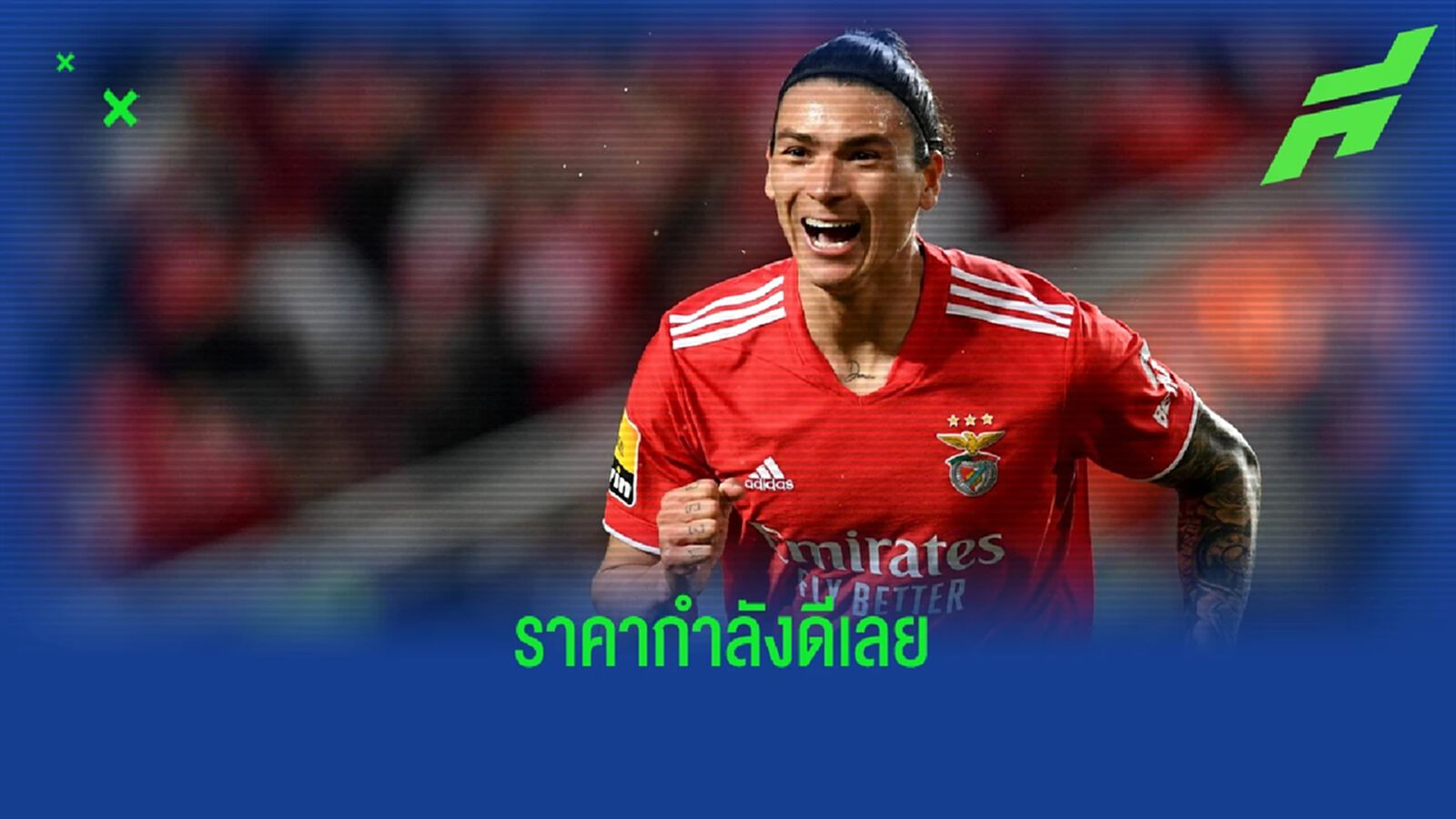 ไม่แพงนะ! สื่อเผยราคา เบนฟิก้า ปักป้ายขาย นูนเญซ ไม่แพงนะ! สื่อเผยราคา เบนฟิก้า ปักป้ายขาย นูนเญซ