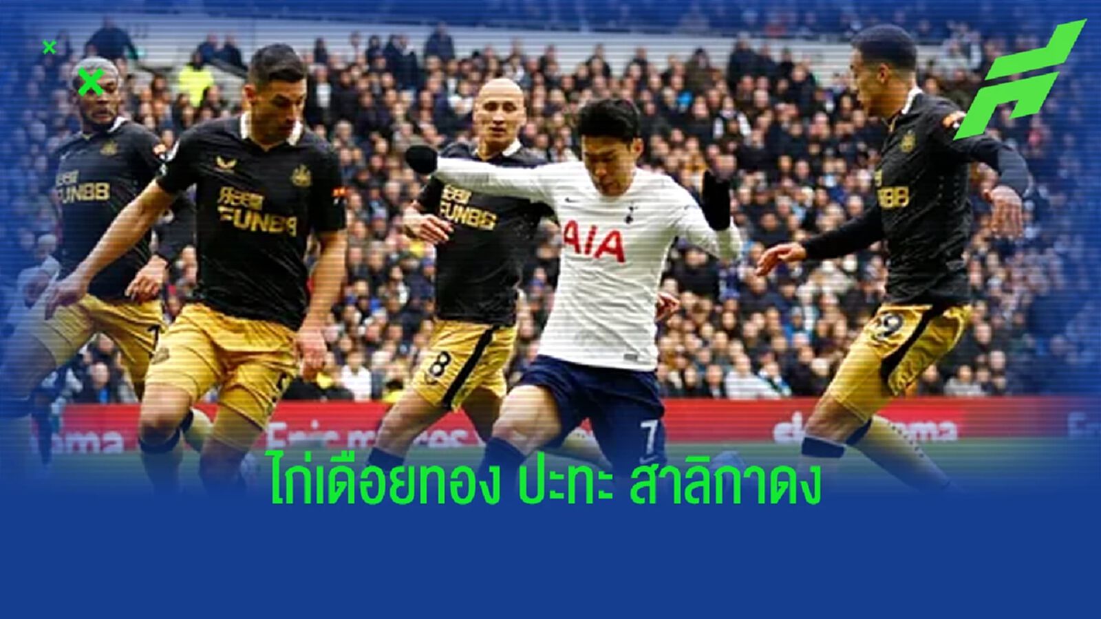 เช็คสถิติที่น่าสนใจ ! ก่อนเกม : สเปอร์ส -vs- นิวคาสเซิ่ล เช็คสถิติที่น่าสนใจ ! ก่อนเกม : สเปอร์ส -vs- นิวคาสเซิ่ล