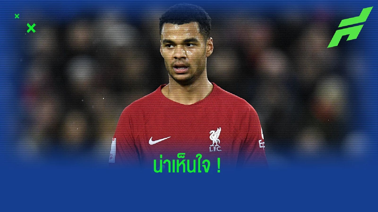 "โอเว่น" เห็นใจ "โคดี้ กักโป" ย้ายมา "ลิเวอร์พูล" ตอนทีมขาดความมั่นใจ "โอเว่น" เห็นใจ "โคดี้ กักโป" ย้ายมา "ลิเวอร์พูล" ตอนทีมขาดความมั่นใจ