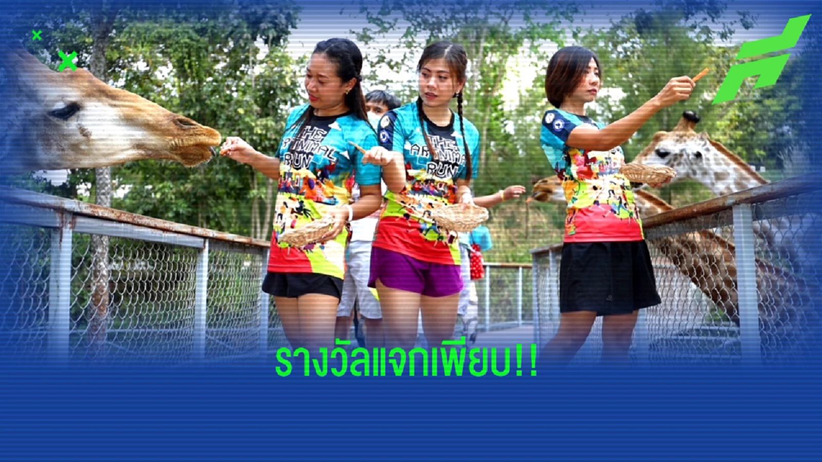 จัดเต็ม! วิ่งการกุศล “ดิ อาร์ทนิมอล รัน 2” แจกรางวัลเพียบ รีบสมัครเลย