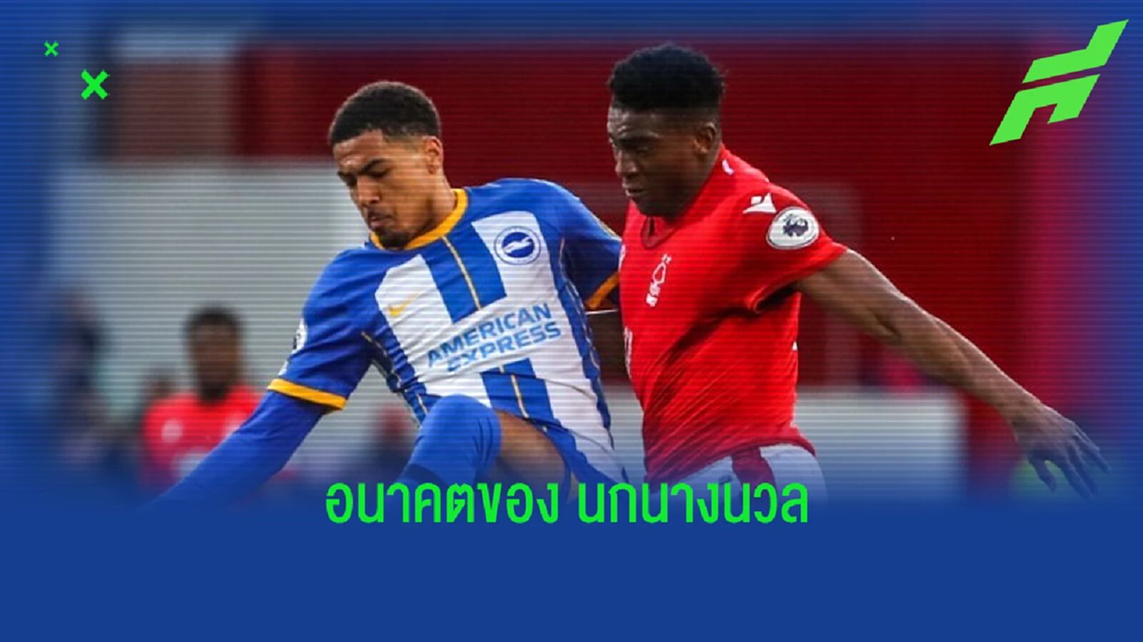 ใครคือ "เลวี่ โคลวิลล์" ? กองหลังอนาคตไกลของ "ไบร์ทตัน" ใครคือ "เลวี่ โคลวิลล์" ? กองหลังอนาคตไกลของ "ไบร์ทตัน"