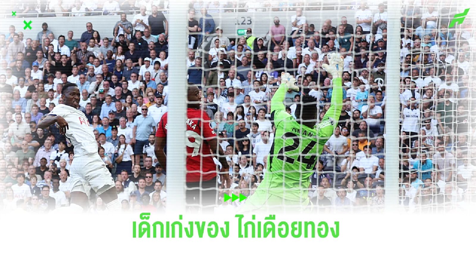 ใครคือ "ปาป มาตาร์ ซาร์" แข้งอนาคตไกลของ "สเปอร์ส" ใครคือ "ปาป มาตาร์ ซาร์" แข้งอนาคตไกลของ "สเปอร์ส"