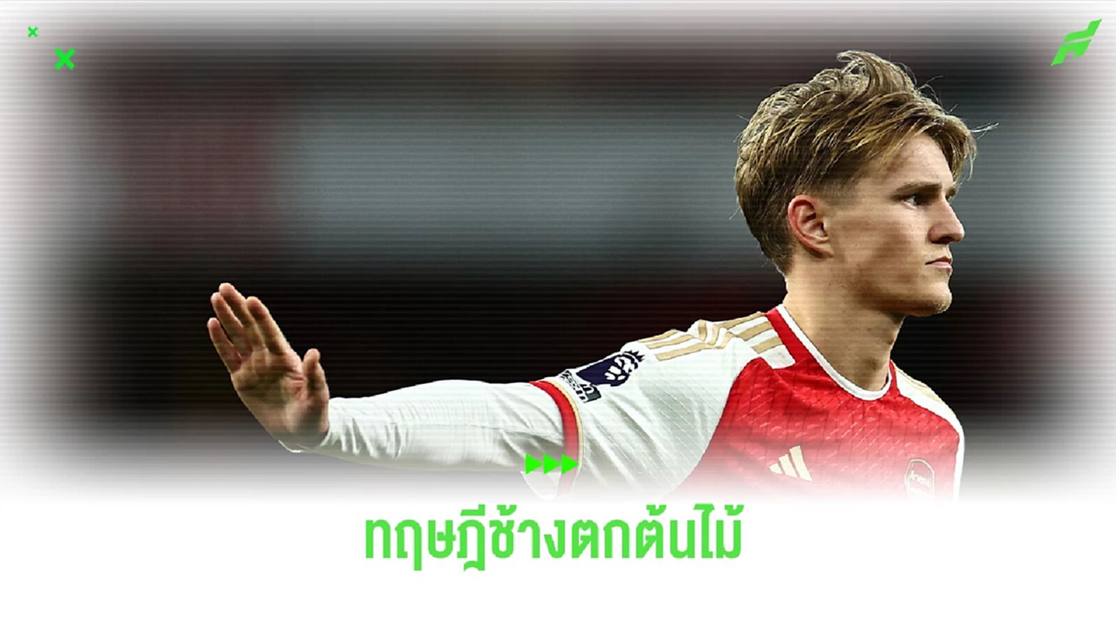 เหตุผลที่ ทฤษฎีช้างตกต้นไม้จะเกิดขึ้นอีกครั้งกับ อาร์เซน่อล เหตุผลที่ ทฤษฎีช้างตกต้นไม้จะเกิดขึ้นอีกครั้งกับ อาร์เซน่อล