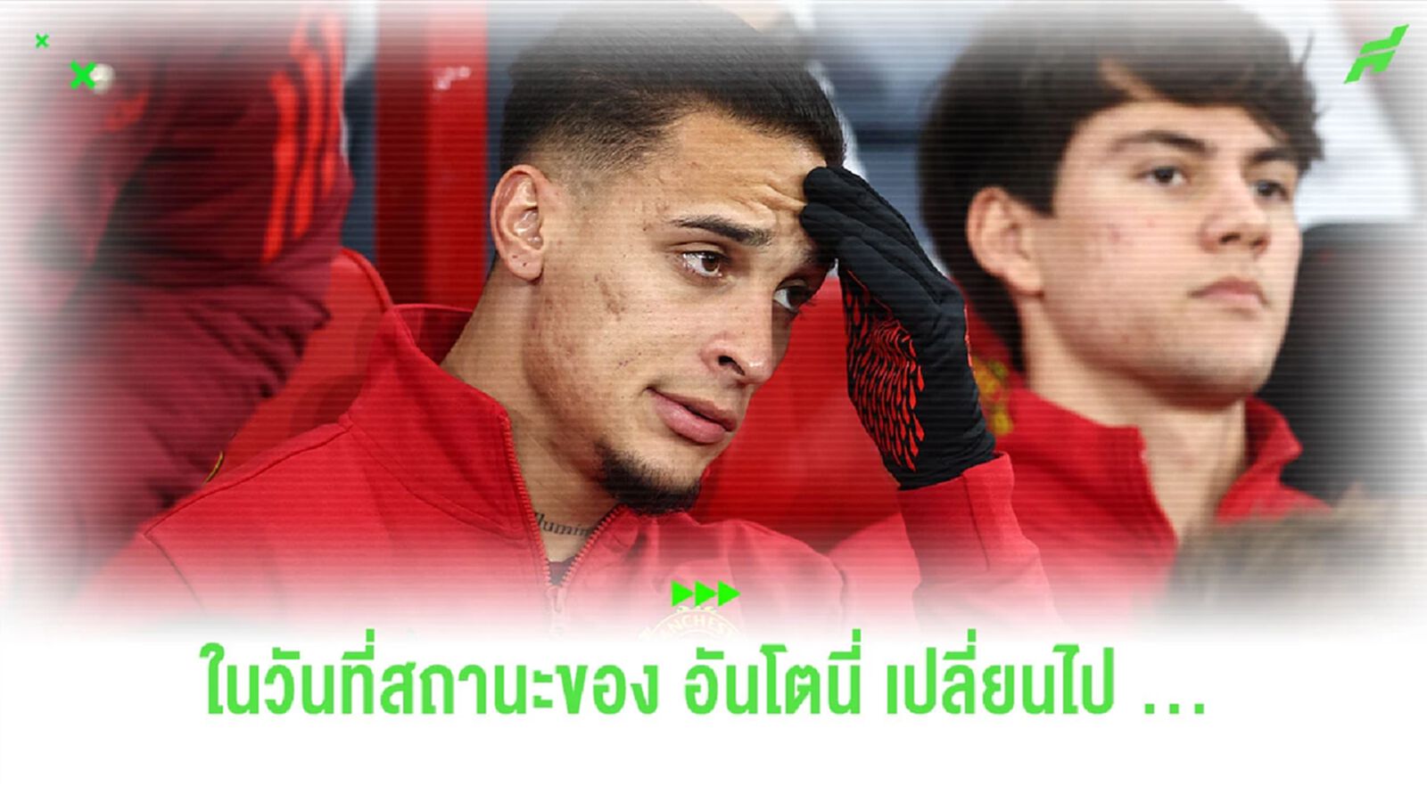ใครว่าเป็นลูกรัก? "อันโตนี่" กับสถานะที่เปลี่ยนแปลงไป