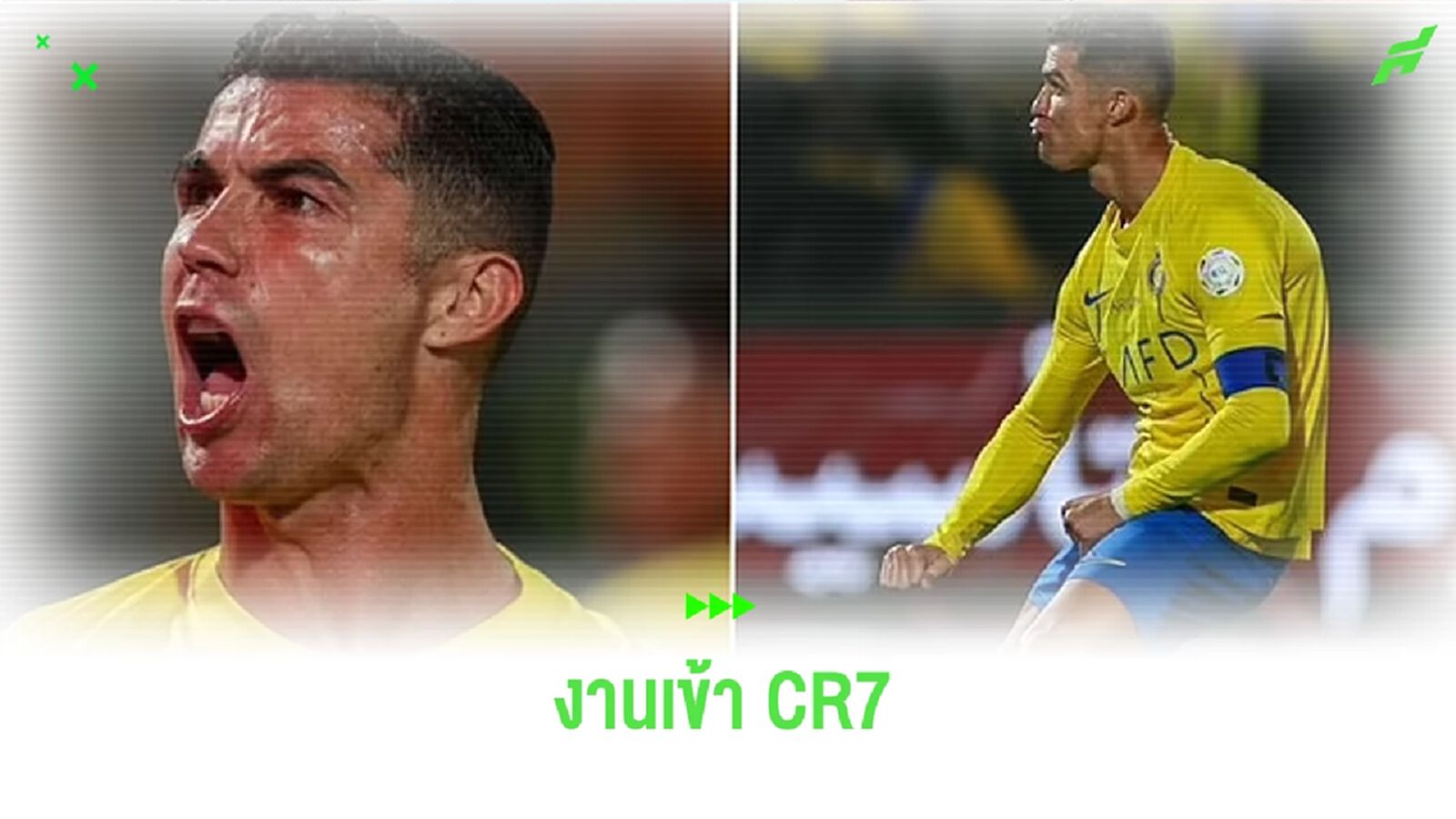 งานเข้า! CR7 โดนสอบเหตุโชว์ท่าช่วยตัวเองตอบโต้แฟนบอล งานเข้า! CR7 โดนสอบเหตุโชว์ท่าช่วยตัวเองตอบโต้แฟนบอล