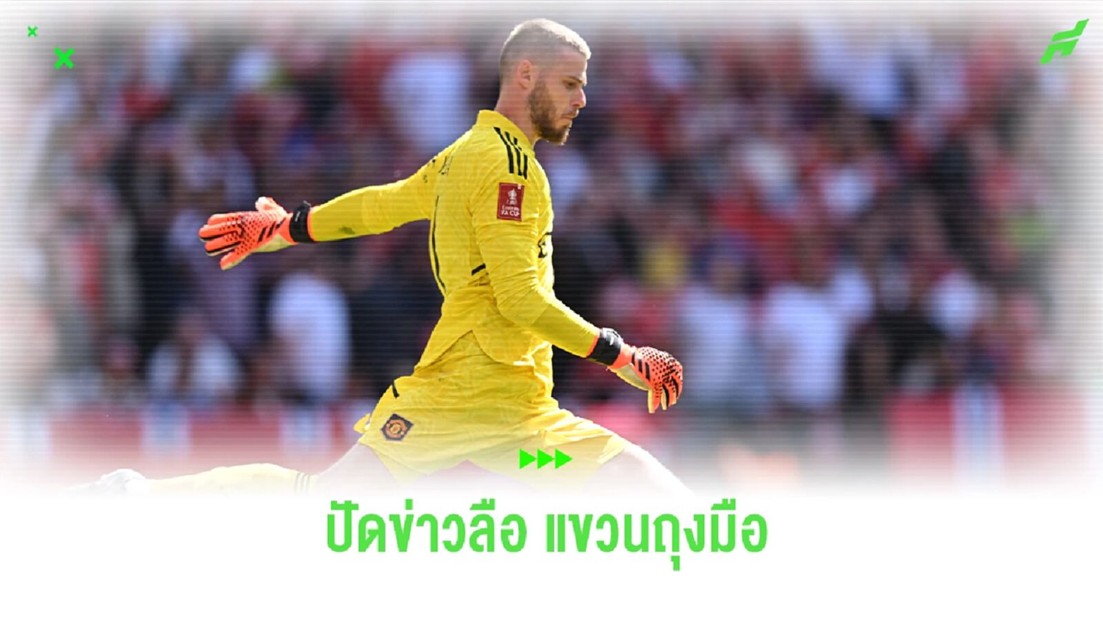 ยังไม่รีบ ! เด เคอา ปัดข่าวเตรียมแขวนถุงมือ ยังคงรอข้อเสนอที่ใช่