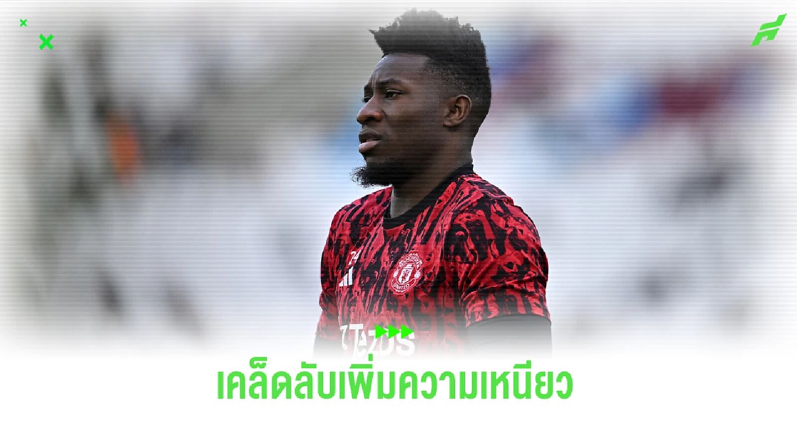 เคล็ดลับเพิ่มความเหนียว ! โอนาน่า ทาวาสลีน ที่ถุงมือ เคล็ดลับเพิ่มความเหนียว ! โอนาน่า ทาวาสลีน ที่ถุงมือ