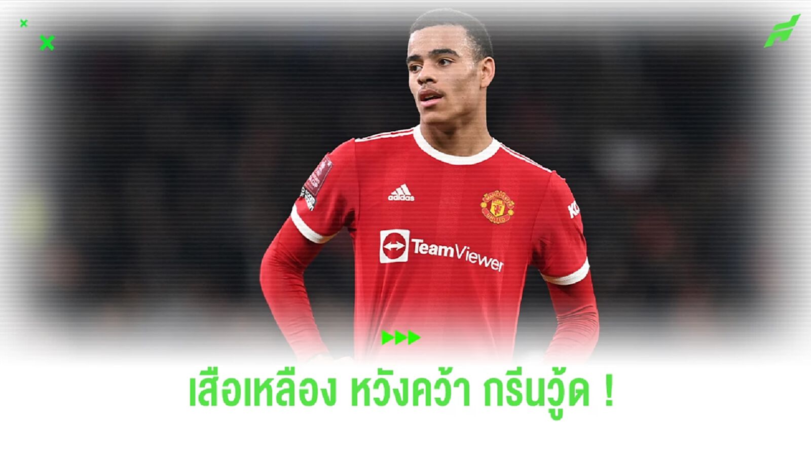 เสือเหลือง สนคว้าตัว "กรีนวู้ด" เสริมคม