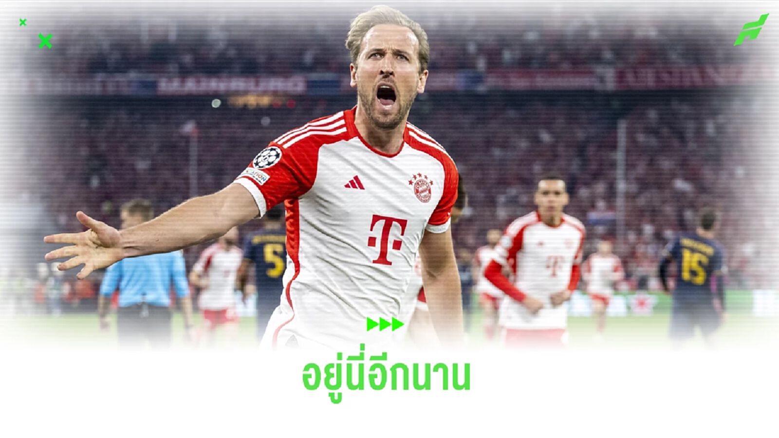 แฮร์รี่ เคน ลั่น ! ยังอยู่ "เสือใต้" อีกหลายปีเพื่อล่าแชมป์ แฮร์รี่ เคน ลั่น ! ยังอยู่ "เสือใต้" อีกหลายปีเพื่อล่าแชมป์