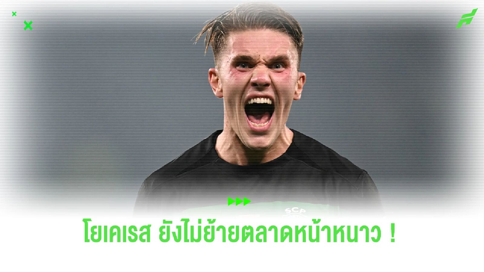 "อโมริม" คอนเฟิร์ม "โยเคเรส" ไม่ย้ายหน้าหนาว แต่ซัมเมอร์ไม่แน่ "อโมริม" คอนเฟิร์ม "โยเคเรส" ไม่ย้ายหน้าหนาว แต่ซัมเมอร์ไม่แน่